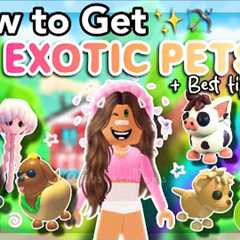 How to Get *EXOTIC PETS* in Adopt Me! *2025*
