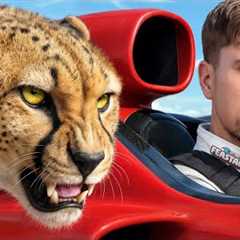 World's Fastest Car Vs Cheetah!