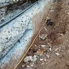 Foundation Repair Gilbert Arizona We Fix It Right! Concrete Repairman LLC Stem Wall Repair Experts