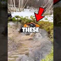 Top 3 RC cars that look Way too Real