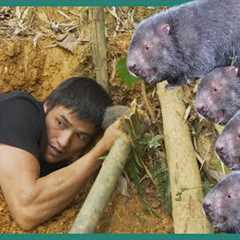 Survival Skills: Crazy Digging to Catch Bamboo Rats, Found Wild Chicken Eggs and Stream Fishing