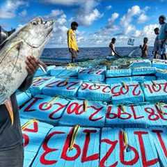 Unique! Tuna Fishes That Stay In The Sea For Long Days | Day 10-13 | Deep Sea Fishing | S04 | Part-3