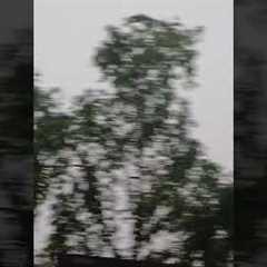 17 July 2025kya sin hai ye nahi dekha to kuch nahi dekha #youtubeshorts #youtube #youtubevid #art