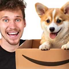 I Bought The *WEIRDEST* Amazon Items!