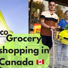 Grocery shopping in 🇨🇦| Grocery shopping from Walmart, freshco | Indian grocery in 🇨🇦. Punjabi..