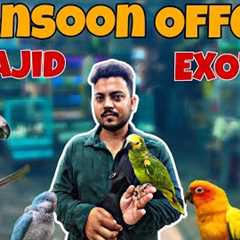 Mansoon Offer at Wajid Exotic only High Exotic Breeds!