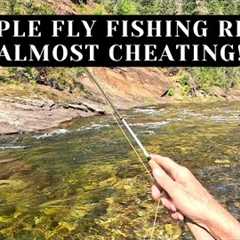 Trout have no chance - This fly fishing rig makes catching trout TOO EASY!