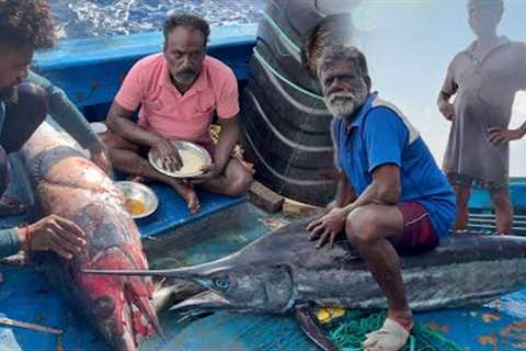 BIGGEST 💢Fish Ever Caught in the Ocean🤩MASSIVE Seafood Feast‼️| S02-day 4 to 6