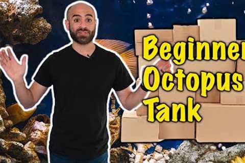 What YOU NEED to start your OCTOPUS TANK!!!