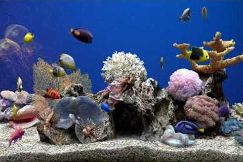 Dream Aquarium  Fish Tank | No Music | Calming Water Sounds | 5 Hours