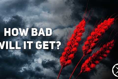 The Global Food Shortage the UN warns about is coming in 2023