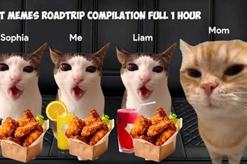 Cat MEMES Roadtrip Compilation Full 1 Hour