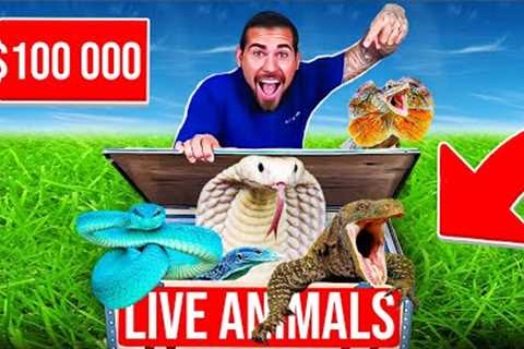 $100,000 Reptile UNBOXING! (Indonesia Import)