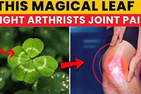 magical leaves That Fights Arthritis &amp; Joint Pain Naturally