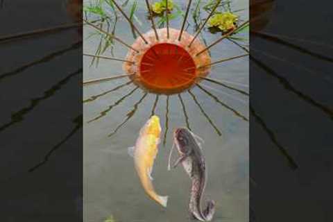 ✅Survival Skills: Simple But Powerful 🐠 Fish Trap Using Papaya! #bushcraft #survival #outdoors