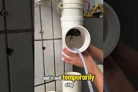 No Shutoff Needed: Repair Pipes While Water’s Still Running! #plumber #plumbing