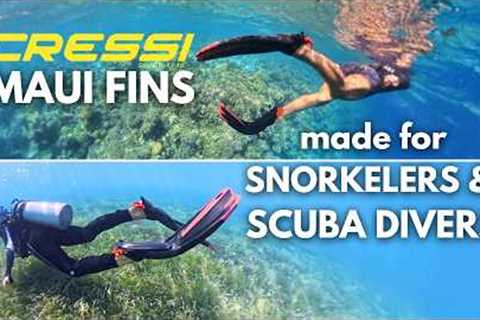 Cressi Maui – Travel Fins for Snorkelers &amp; Scuba Divers [Scuba Fin Review 2025]