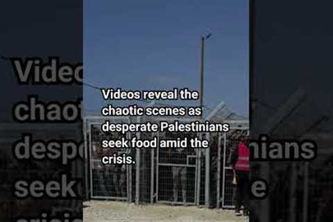 US Contractors Fire Live Ammo Amid Food Crisis in Gaza #shortsfeed #breakingnews #news