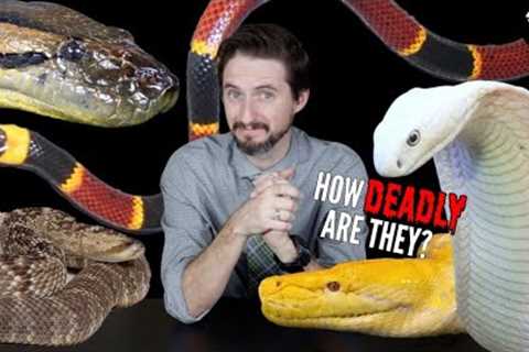 5 Deadly Pet Snakes (+10 Non-Deadly Alternatives)