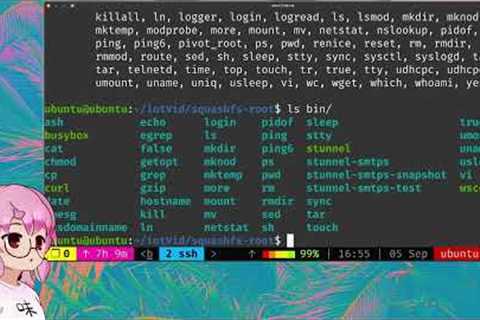 IoT Hacking - Firmware Analysis and Emulation