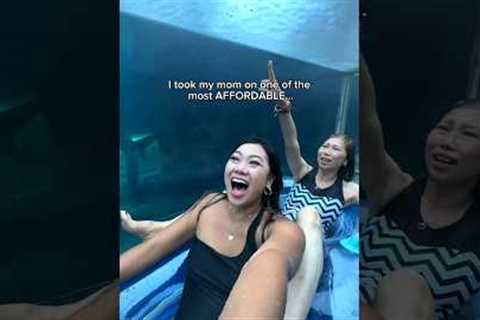My mom and I tried an AFFORDABLE CRUISE SHIP (shocking) #ad