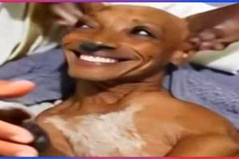Best Funny Videos Of 2025 😂 TRY NOT TO LAUGH Funny Videos