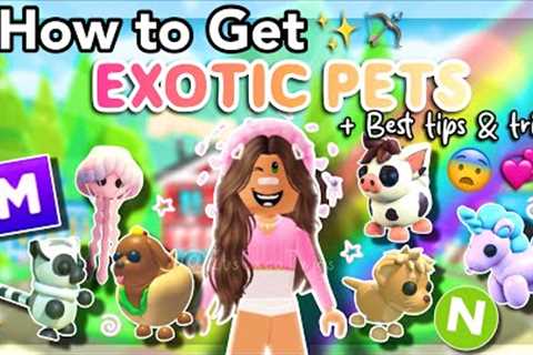 How to Get *EXOTIC PETS* in Adopt Me! *2025*