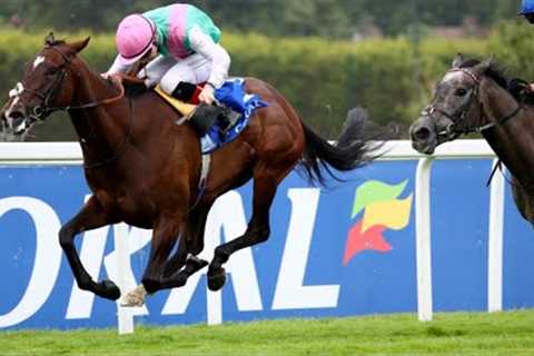 BLUE BOLT impresses at Sandown