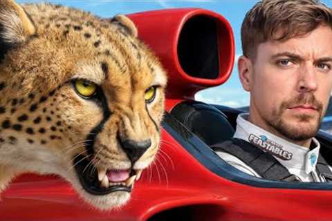 World's Fastest Car Vs Cheetah!