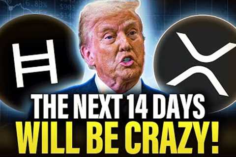 Get Ready For The Biggest Crypto Surge Of 2025 | XRP HBAR SUI XLM &amp; MORE!