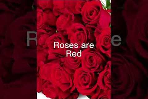 Send this to your mum ❤️