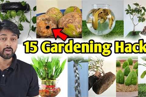 My 15 Gardening Hacks you must know, DIY Home Garden ideas (part-1)