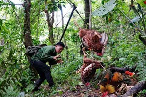 Full Video: 25 Days Alone in the Wild Facing Dangerous Animals | Survival Skills