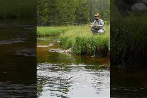 Fly Fishing Problems? Watch this.