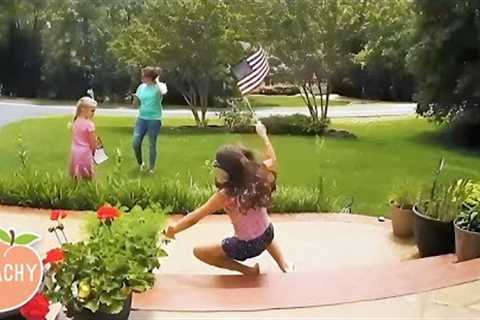 Funniest Fails Caught on Camera 📽️| Best Trips, Slips and Falls