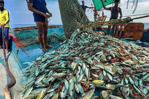 AMAZING! 🤩 We Caught Tons of Mackerel and Trevally Fish in a Single Catch! 😃WOW!