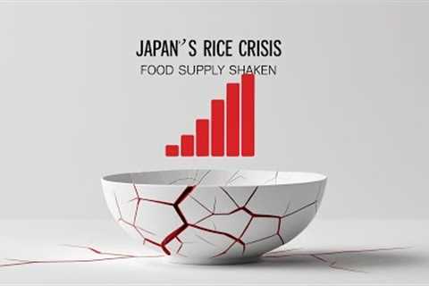 Japan’s Rice Crisis February 2025: Food Shortages #politics #news #trending #viral