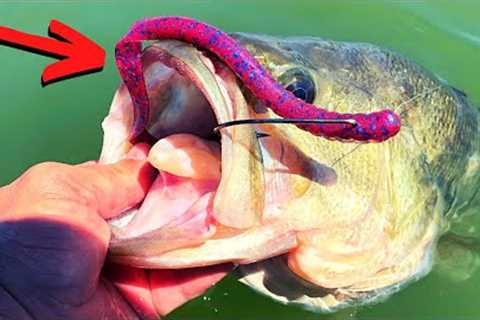 BIG Plastic WORMS Catch Big Summer BASS (The Ole Monster)