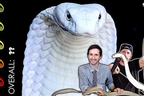 King Cobra, The Best Pet Snake? The Most DANGEROUS Day Of My Life!