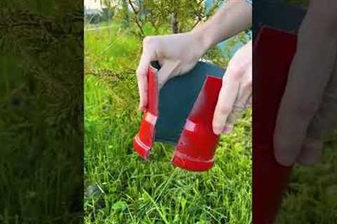 Garden Myths Debunked: Expert Tips for a Thriving Garden ☘