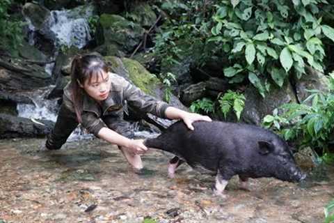 Skills. Catching stream fish, catching wild boars with bare hands, survival, linh tân Builing