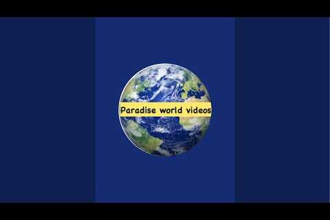 Paradise world videos  is live La zenia best shopping centre