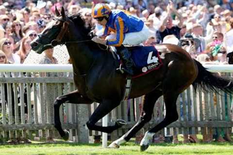 Exciting SCANDINAVIA looks St Leger standard | Racing TV
