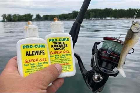 Do Lure Scents Help You Catch More Fish?? (Or Is It A Sales Trick?)