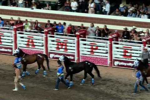 Bareback Relay Horse Racing at the 2025 Calgary Stampede 2025-07-11 (Race 1)