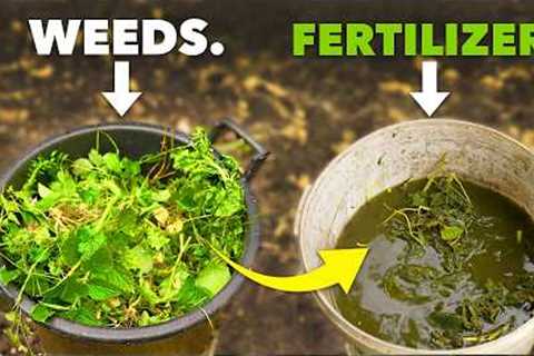 Better than Miracle Gro: Make Fertilizer from Weeds