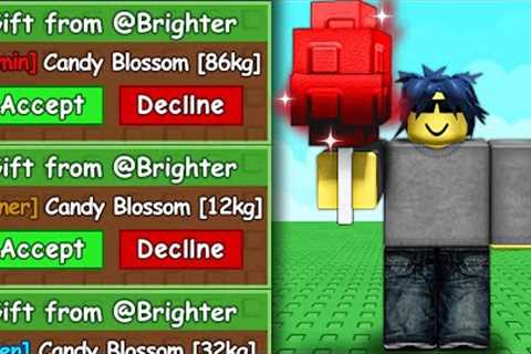 Begging Until I Get ADMIN Candy Blossom