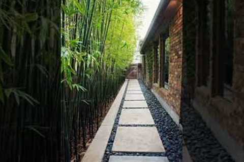 Backyard Garden Ideas #backyard #garden #landscape #green #plants #indoor #rear #courtyard #viral