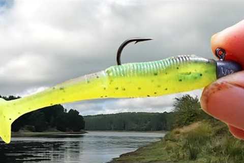 SOFT PLASTICS FISHING FOR BEGINNERS