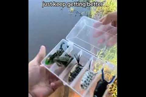 So realistic 💀 #frog #lure #fishing #fishinglure #topwater #bassfishing #bass #yt #ytshorts